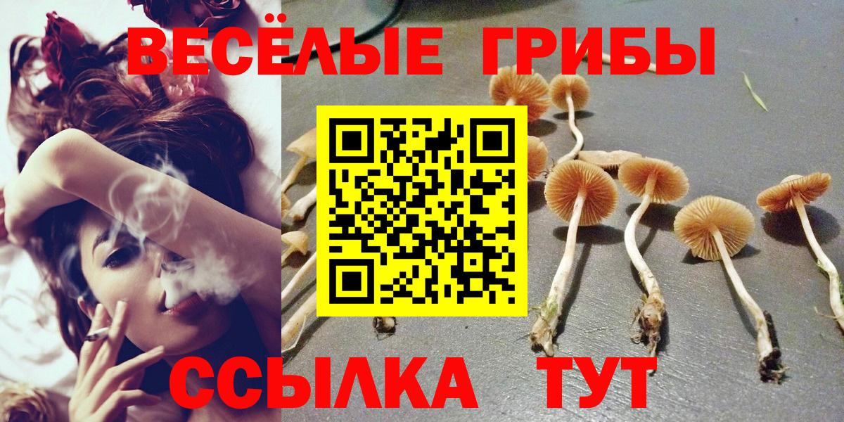 Псилоцибиновые грибы MAGIC MUSHROOMS  Вход с VPN  наркотики  Тейково 